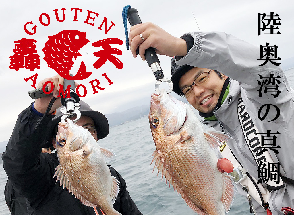 陸奥湾の真鯛